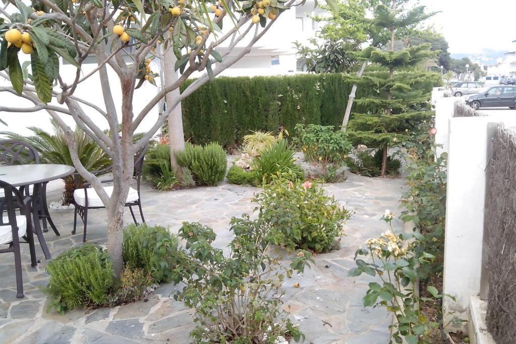 Bonito De 3 Hab. Con Jardin Apartment *